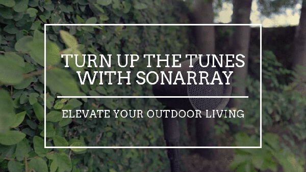 Turn Up the Tunes with SONARRAY